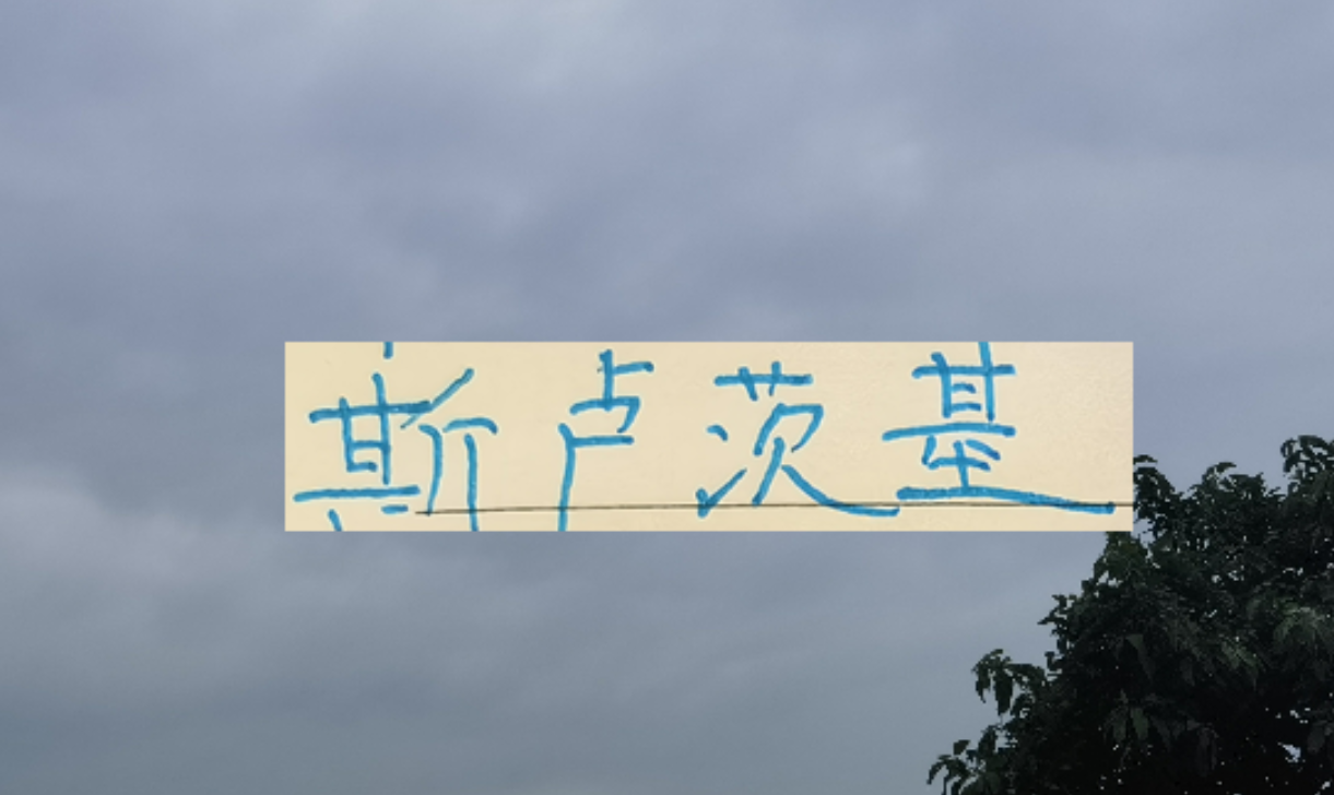MK体育登录入口-2026赛季！申花“司机”还会三线全力以赴吗